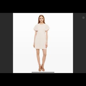 CLUB MONACO Cream Flutter Sleeve Sheath Dress Size 8